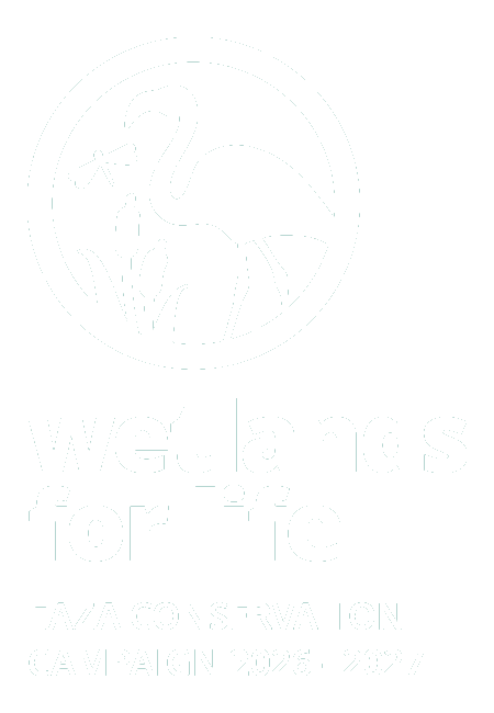 Baer's pochard, critically endangered