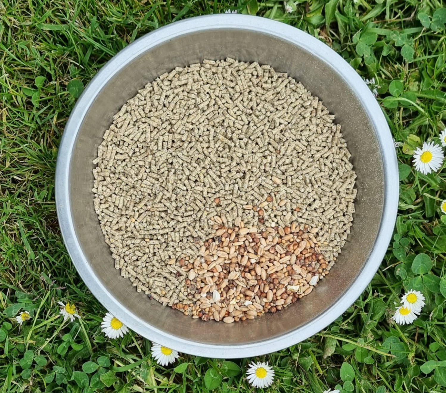 Pressed pellets and grains